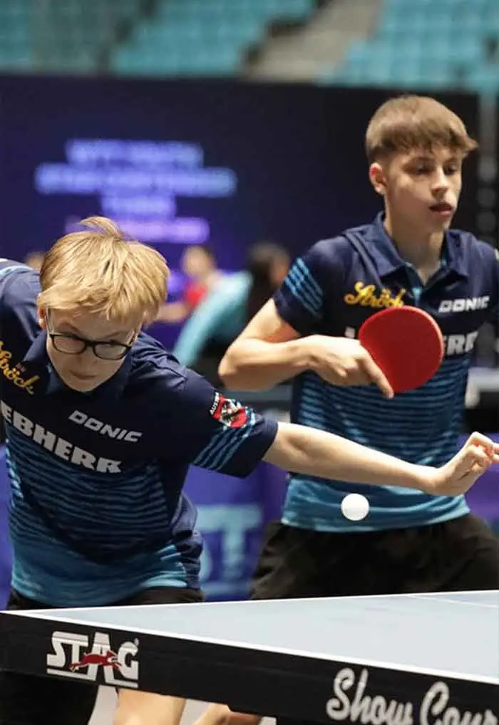 Home 37 ping pong